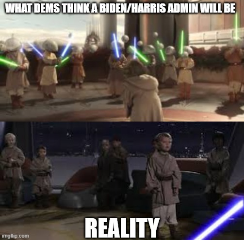 shrug | WHAT DEMS THINK A BIDEN/HARRIS ADMIN WILL BE; REALITY | image tagged in politics lol | made w/ Imgflip meme maker