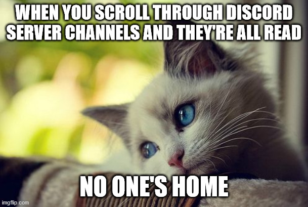 Quiet in the Discord Server | WHEN YOU SCROLL THROUGH DISCORD SERVER CHANNELS AND THEY'RE ALL READ; NO ONE'S HOME | image tagged in memes,first world problems cat | made w/ Imgflip meme maker