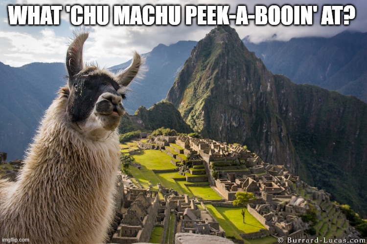 machu picchu, inca, history meme, world history, history teacher | WHAT 'CHU MACHU PEEK-A-BOOIN' AT? | image tagged in history of the world | made w/ Imgflip meme maker