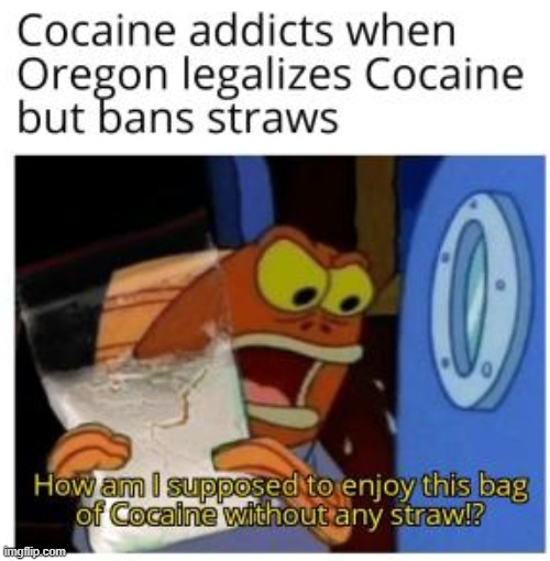 Straws in a nutshell | image tagged in straw ban,cocaine | made w/ Imgflip meme maker