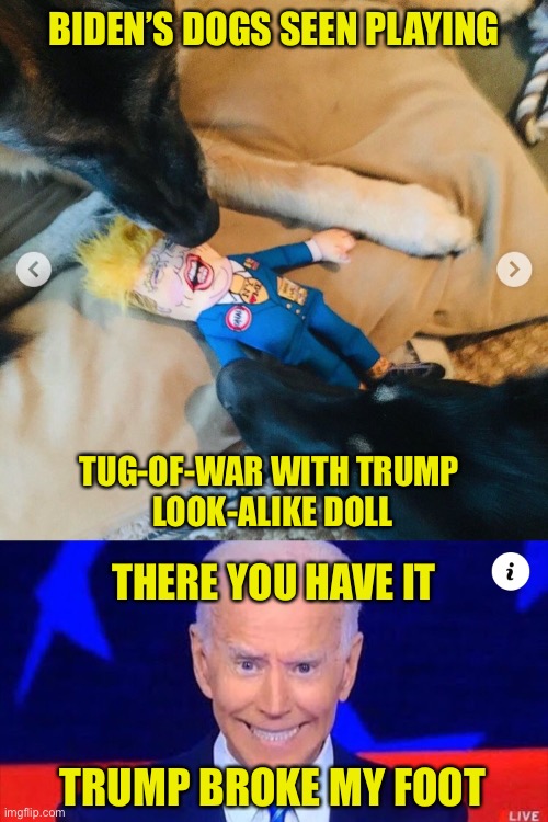 It Was Trump’s Fault | BIDEN’S DOGS SEEN PLAYING; TUG-OF-WAR WITH TRUMP 
LOOK-ALIKE DOLL; THERE YOU HAVE IT; TRUMP BROKE MY FOOT | image tagged in joe biden,donald trump,broken foot,dogs,trump doll | made w/ Imgflip meme maker