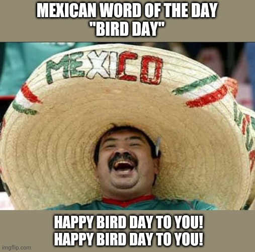 Mexican word of the day "bird day" | MEXICAN WORD OF THE DAY
"BIRD DAY"; HAPPY BIRD DAY TO YOU!
HAPPY BIRD DAY TO YOU! | image tagged in mexican word of the day,funny,meme,memes,happy birthday,funny memes | made w/ Imgflip meme maker