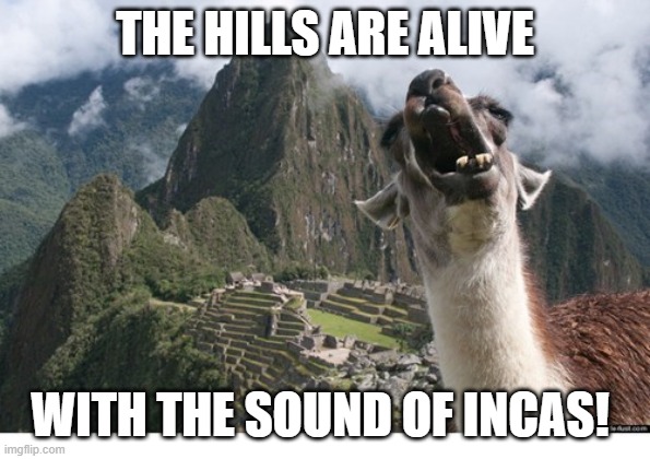 llama, machu picchu, history, world history, inca, inca empire | THE HILLS ARE ALIVE; WITH THE SOUND OF INCAS! | image tagged in history of the world | made w/ Imgflip meme maker