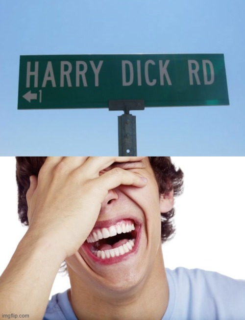 Have you ever been to... | image tagged in harry dick rd,memes,funny signs,funny,road sign | made w/ Imgflip meme maker