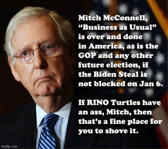 If RINO Turtles Have an Ass | image tagged in memes,dominion solarwinds smartatic,2020 biden election steal,electoral college votes trump,mail in ballot fraud,biden harris | made w/ Imgflip meme maker