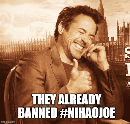 laughing | THEY ALREADY BANNED #NIHAOJOE | image tagged in laughing | made w/ Imgflip meme maker