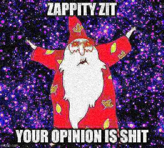 zappity zit your opinion is shit | image tagged in zappity zit your opinion is shit | made w/ Imgflip meme maker