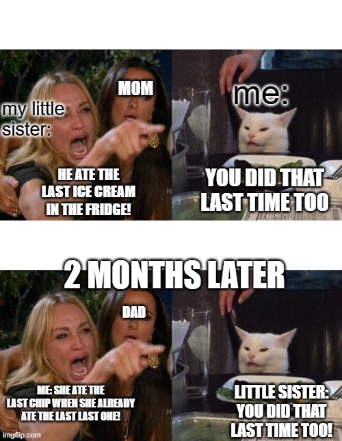  MOM; me:; my little sister:; YOU DID THAT LAST TIME TOO; HE ATE THE LAST ICE CREAM IN THE FRIDGE! 2 MONTHS LATER; DAD; ME: SHE ATE THE LAST CHIP WHEN SHE ALREADY ATE THE LAST LAST ONE! LITTLE SISTER: YOU DID THAT LAST TIME TOO! | image tagged in memes,woman yelling at cat | made w/ Imgflip meme maker