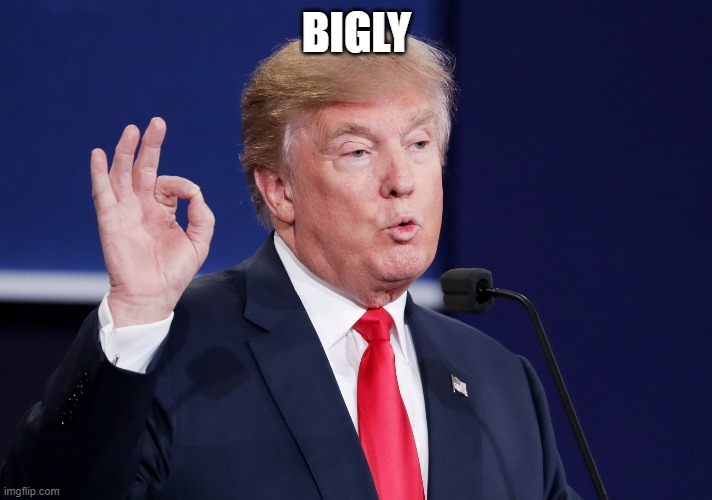 BIGLY | BIGLY | image tagged in bigly | made w/ Imgflip meme maker
