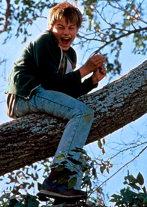 Arnie Grape in tree Blank Meme Template