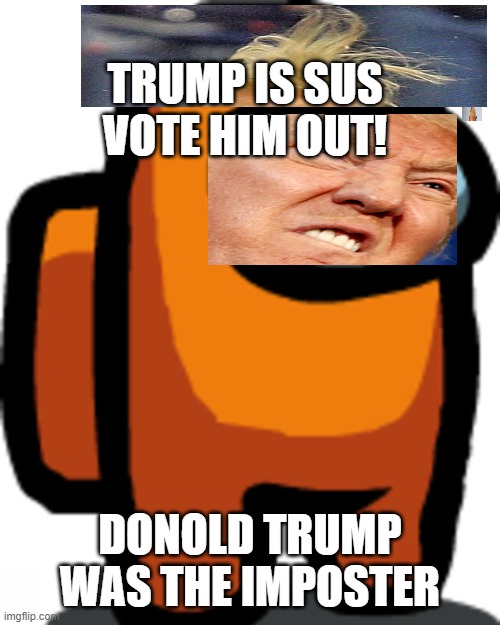 Orange | TRUMP IS SUS VOTE HIM OUT! DONOLD TRUMP WAS THE IMPOSTER | image tagged in orange | made w/ Imgflip meme maker