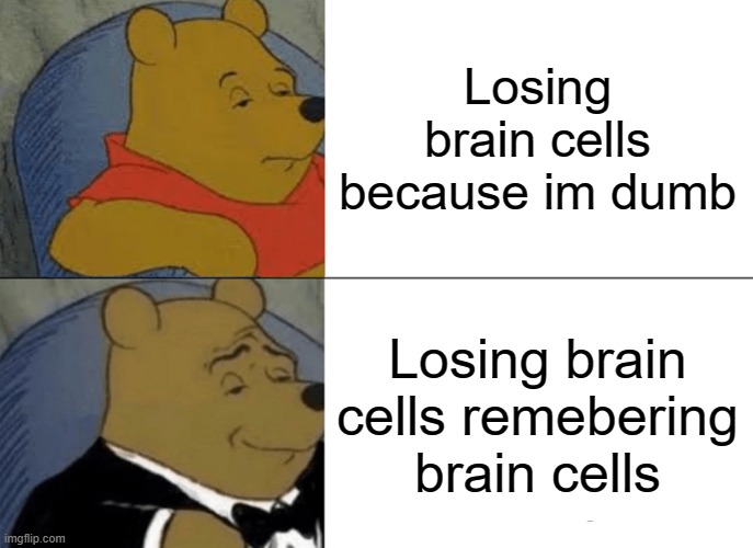 Tuxedo Winnie The Pooh Meme | Losing brain cells because im dumb; Losing brain cells remebering brain cells | image tagged in memes,tuxedo winnie the pooh | made w/ Imgflip meme maker