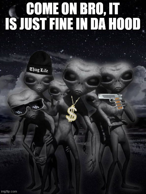thug alien | COME ON BRO, IT IS JUST FINE IN DA HOOD | image tagged in alien week aliens memes | made w/ Imgflip meme maker