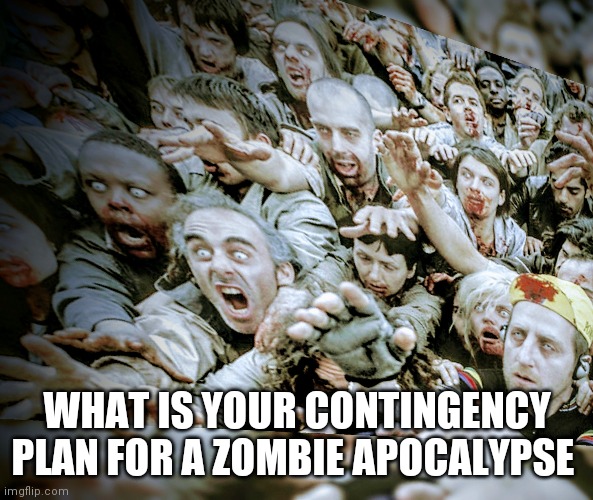 Zombie apocalypse contingency plan | WHAT IS YOUR CONTINGENCY PLAN FOR A ZOMBIE APOCALYPSE | image tagged in memes,zombies,apocalypse,my zombie apocalypse team | made w/ Imgflip meme maker