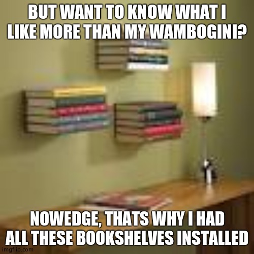 Wall bookshelves | BUT WANT TO KNOW WHAT I LIKE MORE THAN MY WAMBOGINI? NOWEDGE, THATS WHY I HAD ALL THESE BOOKSHELVES INSTALLED | image tagged in wall bookshelves | made w/ Imgflip meme maker