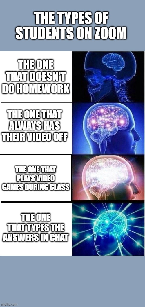 Types of Students on zoom | THE TYPES OF STUDENTS ON ZOOM; THE ONE THAT DOESN'T DO HOMEWORK; THE ONE THAT ALWAYS HAS THEIR VIDEO OFF; THE ONE THAT PLAYS VIDEO GAMES DURING CLASS; THE ONE THAT TYPES THE ANSWERS IN CHAT | image tagged in memes,expanding brain | made w/ Imgflip meme maker
