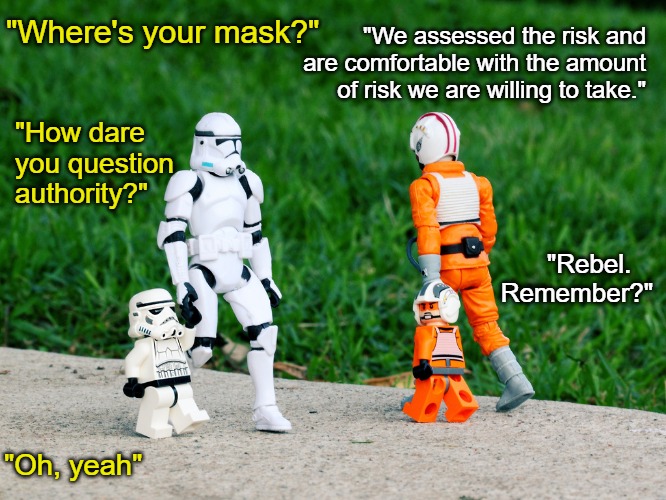 Star Wars Lego Family | "We assessed the risk and are comfortable with the amount of risk we are willing to take."; "Where's your mask?"; "How dare you question authority?"; "Rebel.        Remember?"; "Oh, yeah" | image tagged in star wars lego family,face mask,covid,covid19,star wars,funny | made w/ Imgflip meme maker