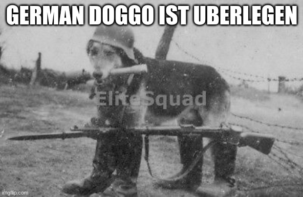 GERMAN DOGGO IST UBERLEGEN | made w/ Imgflip meme maker