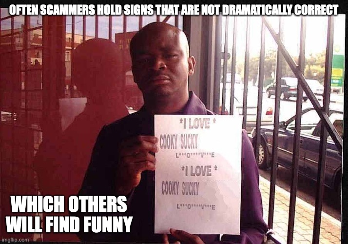 Cooky Sucky 419 | OFTEN SCAMMERS HOLD SIGNS THAT ARE NOT DRAMATICALLY CORRECT; WHICH OTHERS WILL FIND FUNNY | image tagged in memes,funny,419,scam,scammers | made w/ Imgflip meme maker