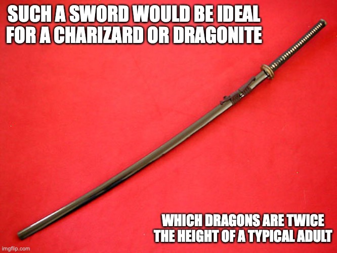 Nodachi | SUCH A SWORD WOULD BE IDEAL FOR A CHARIZARD OR DRAGONITE; WHICH DRAGONS ARE TWICE THE HEIGHT OF A TYPICAL ADULT | image tagged in nodachi,sword,memes | made w/ Imgflip meme maker