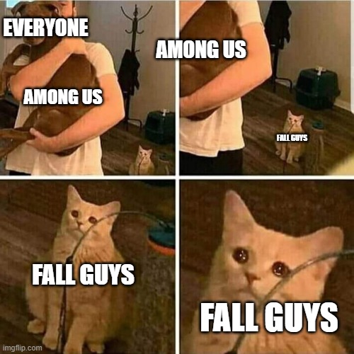 fall guys existed for a few weeks then died | AMONG US; EVERYONE; AMONG US; FALL GUYS; FALL GUYS; FALL GUYS | image tagged in sad cat holding dog,among us,fall guys,cats | made w/ Imgflip meme maker