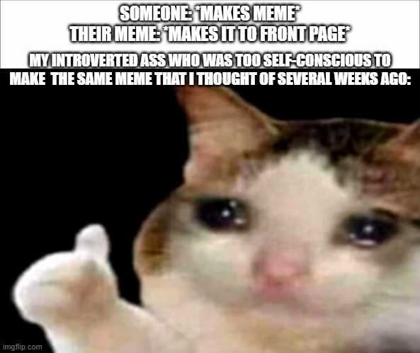 and if i made it i would be accused of repost | SOMEONE: *MAKES MEME*
THEIR MEME: *MAKES IT TO FRONT PAGE*; MY INTROVERTED ASS WHO WAS TOO SELF-CONSCIOUS TO MAKE  THE SAME MEME THAT I THOUGHT OF SEVERAL WEEKS AGO: | image tagged in sad cat thumbs up | made w/ Imgflip meme maker