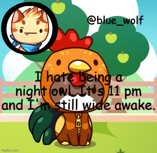 I hate being a night owl. It's 11 pm and I'm still wide awake. | image tagged in blue wolfs announcement thing | made w/ Imgflip meme maker