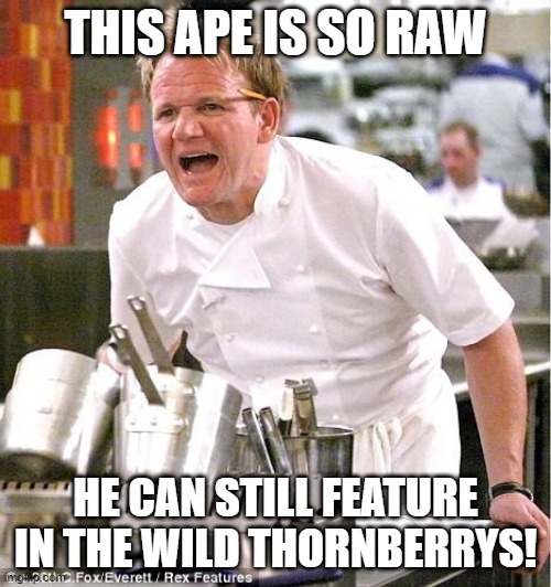 Chef Gordon Ramsay Meme | THIS APE IS SO RAW; HE CAN STILL FEATURE IN THE WILD THORNBERRYS! | image tagged in memes,chef gordon ramsay,apes,funny,television,gordon ramsey | made w/ Imgflip meme maker