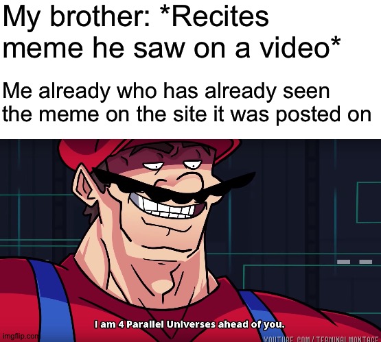 I haven't posted in a while, sorry this meme is absolute trash | My brother: *Recites meme he saw on a video*; Me already who has already seen the meme on the site it was posted on | image tagged in blank white template,mario i am four parallel universes ahead of you,memes | made w/ Imgflip meme maker