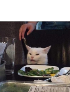 High Quality Shocked/Confused/Sus Cat Blank Meme Template