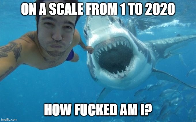 Scale 1 to 2020 | ON A SCALE FROM 1 TO 2020; HOW FUCKED AM I? | image tagged in 2020 | made w/ Imgflip meme maker