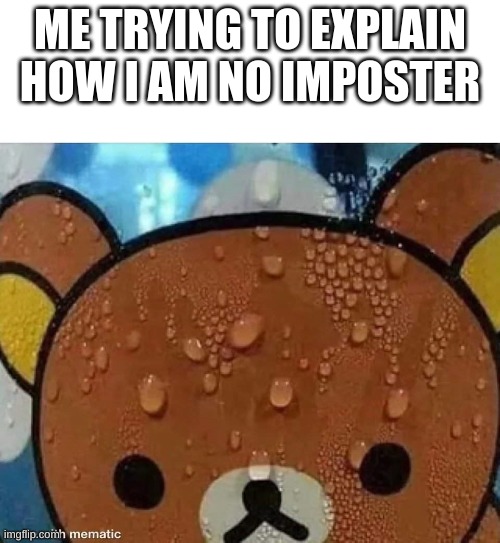 Sweating bear | ME TRYING TO EXPLAIN HOW I AM NO IMPOSTER | image tagged in sweating bear | made w/ Imgflip meme maker