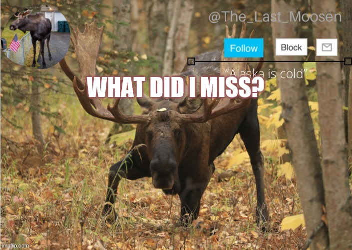 WHAT DID I MISS? | made w/ Imgflip meme maker