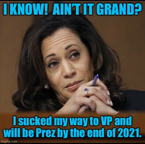 Kamala Harris  | I KNOW!  AIN’T IT GRAND? I sucked my way to VP and will be Prez by the end of 2021. | image tagged in kamala harris | made w/ Imgflip meme maker