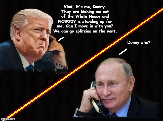 When Your Useful Idiot Passes His 'Best Before" date... | Vlad, it's me, Donny. They are kicking me out of the White House and NOBODY is standing up for me. Can I move in with you? We can go splitsies on the rent. Donny who? | image tagged in donald trump,vladimir putin,trump is a moron,you're fired | made w/ Imgflip meme maker