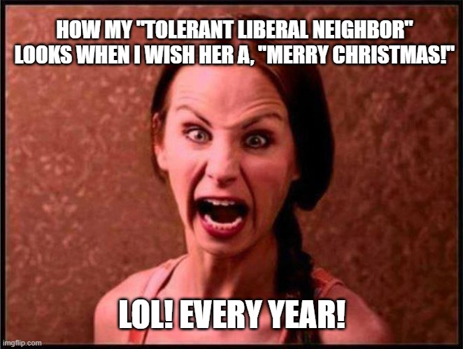 Merry Christmas to my Liberal Friends | HOW MY "TOLERANT LIBERAL NEIGHBOR" LOOKS WHEN I WISH HER A, "MERRY CHRISTMAS!"; LOL! EVERY YEAR! | image tagged in tolerant,tolerance,christmas,merry christmas,holidays,xmas | made w/ Imgflip meme maker