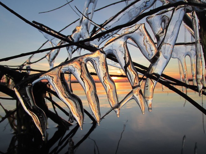 Icy Quebec Morning. Photo credit: Annie Degre | image tagged in awesome,pics,photography | made w/ Imgflip meme maker