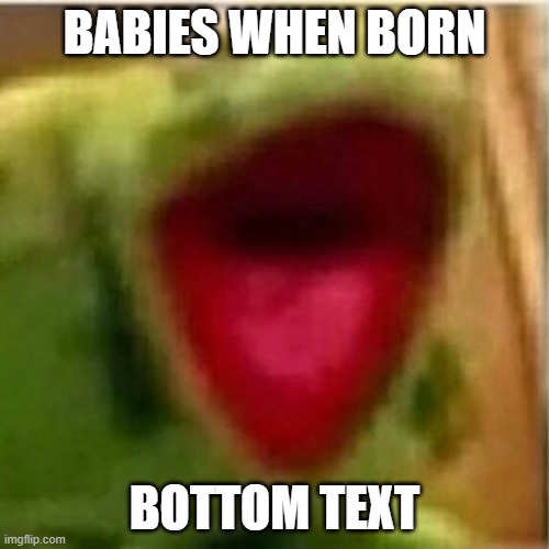 LOL | BABIES WHEN BORN; BOTTOM TEXT | image tagged in ahhhhhhhhhhhhh,memes,funny,awesome | made w/ Imgflip meme maker