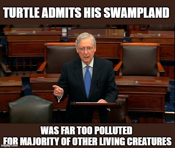 McConnell finally concedes the truth | TURTLE ADMITS HIS SWAMPLAND; WAS FAR TOO POLLUTED 
FOR MAJORITY OF OTHER LIVING CREATURES | image tagged in trump,election 2020,voter fraud,losers | made w/ Imgflip meme maker