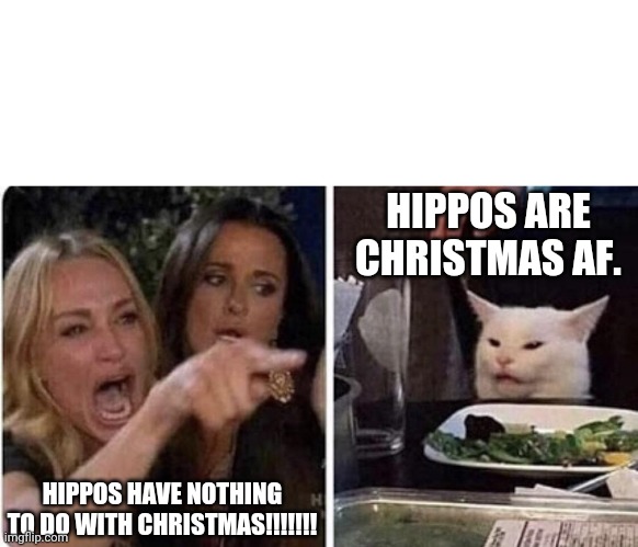 Hippos are Christmas | HIPPOS ARE CHRISTMAS AF. HIPPOS HAVE NOTHING TO DO WITH CHRISTMAS!!!!!!! | image tagged in angry woman and cat | made w/ Imgflip meme maker