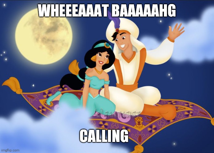 a whole new world | WHEEEAAAT BAAAAAHG; CALLING | image tagged in a whole new world | made w/ Imgflip meme maker