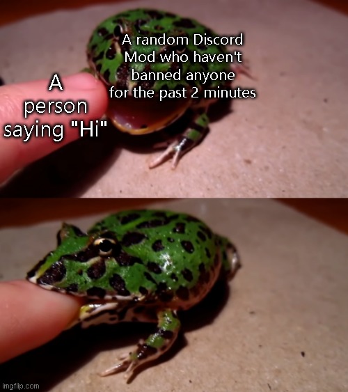 froge | A random Discord Mod who haven't banned anyone for the past 2 minutes; A person saying "Hi" | image tagged in frog,discord,mods | made w/ Imgflip meme maker