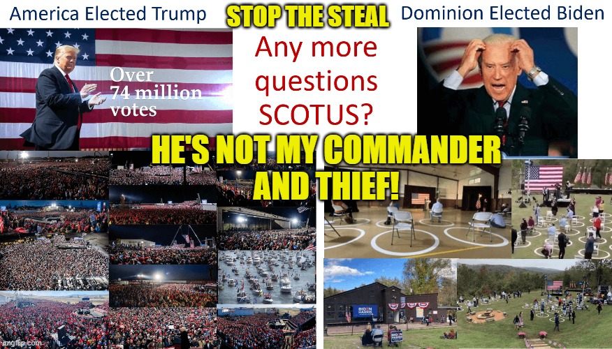 STOP THE STEAL; HE'S NOT MY COMMANDER AND THIEF! | STOP THE STEAL; HE'S NOT MY COMMANDER
AND THIEF! | image tagged in stop the steal | made w/ Imgflip meme maker