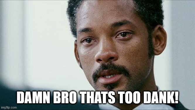 Crying Will smith | DAMN BRO THATS TOO DANK! | image tagged in crying will smith | made w/ Imgflip meme maker