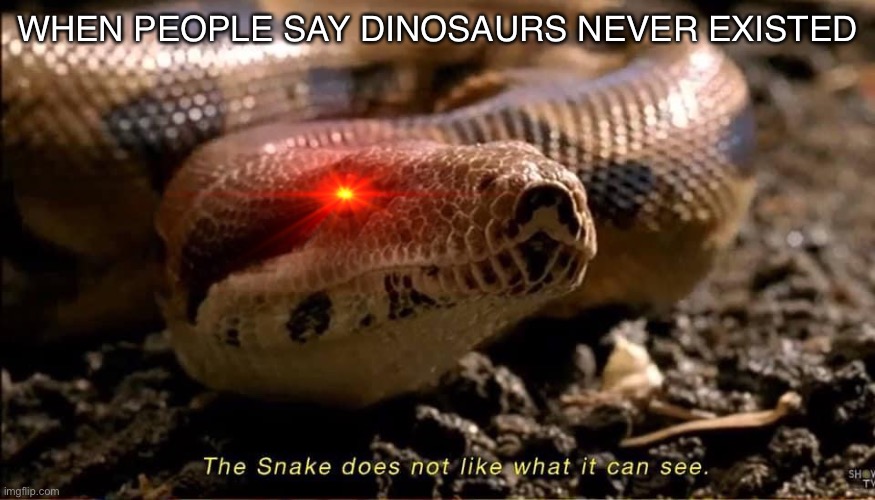 Too true | WHEN PEOPLE SAY DINOSAURS NEVER EXISTED | image tagged in the snake does not like what it can see | made w/ Imgflip meme maker