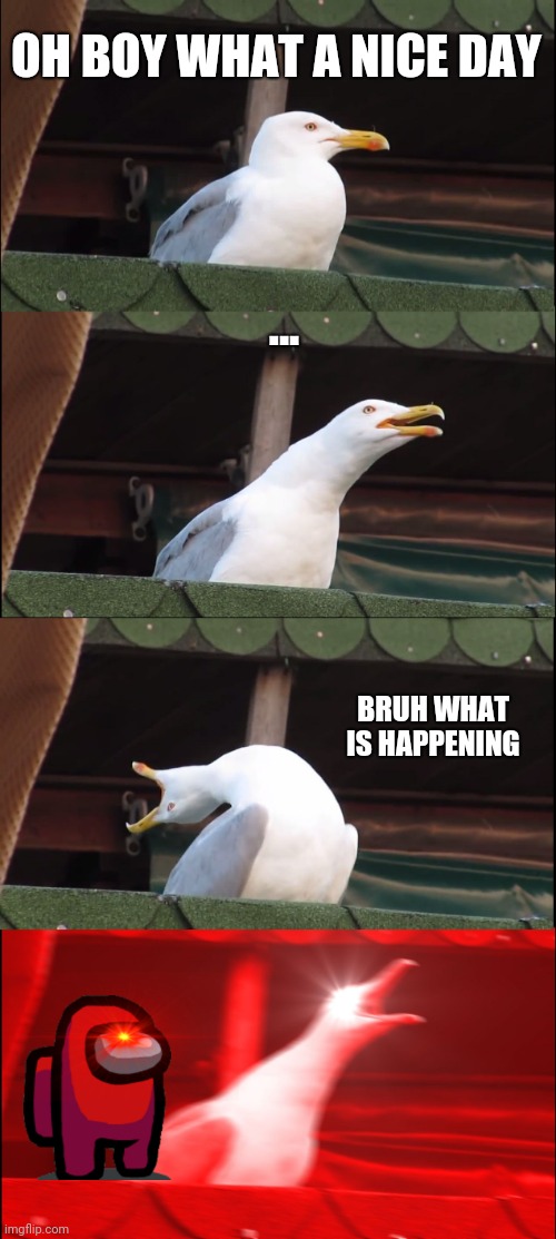 WHAT!!!!!! | OH BOY WHAT A NICE DAY; ... BRUH WHAT IS HAPPENING | image tagged in memes,inhaling seagull | made w/ Imgflip meme maker