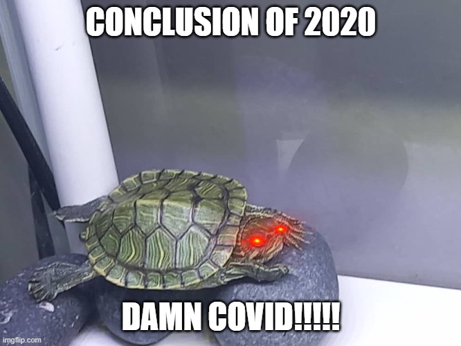 CONCLUSION OF 2020; DAMN COVID!!!!! | image tagged in covid-19 | made w/ Imgflip meme maker