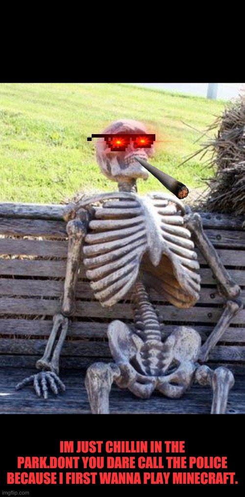 Yes | IM JUST CHILLIN IN THE PARK.DONT YOU DARE CALL THE POLICE BECAUSE I FIRST WANNA PLAY MINECRAFT. | image tagged in memes,waiting skeleton | made w/ Imgflip meme maker