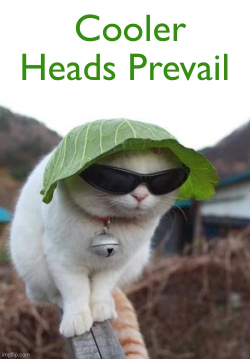 Everything is Going to Be All Right | Cooler Heads Prevail | image tagged in funny memes,funny cat memes,funny,cats,relax | made w/ Imgflip meme maker