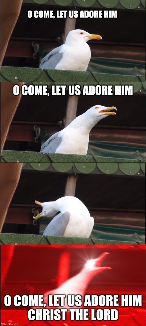 Inhaling Seagull | O COME, LET US ADORE HIM; O COME, LET US ADORE HIM; O COME, LET US ADORE HIM
CHRIST THE LORD | image tagged in memes,inhaling seagull,christmas,music,xmas,christian | made w/ Imgflip meme maker